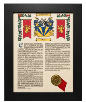 8 1/2" x 11" Mini Armorial